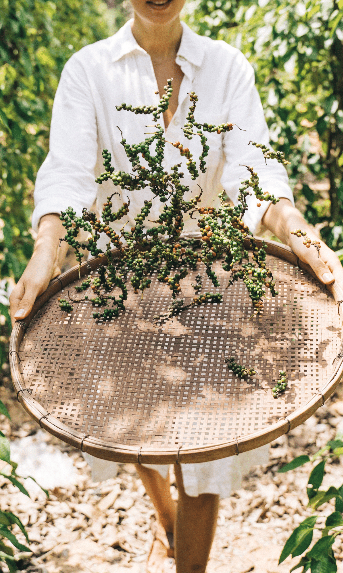 Spice Up Your Life with the Best Tellicherry Peppercorns