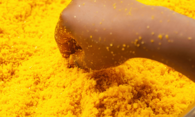 Get Healthy With The Best Turmeric Powder For Cooking!