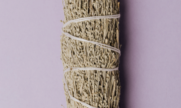 Sage the Right Way: Choose the Best Brand of Sage for You