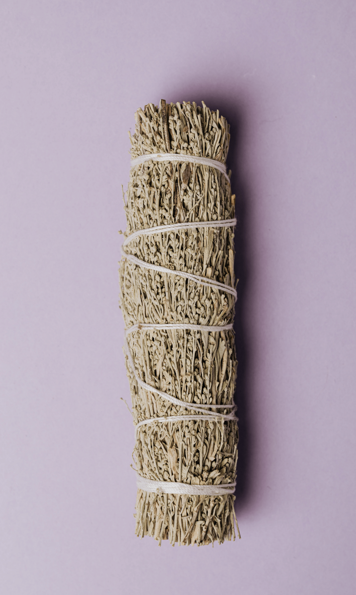Sage the Right Way: Choose the Best Brand of Sage for You