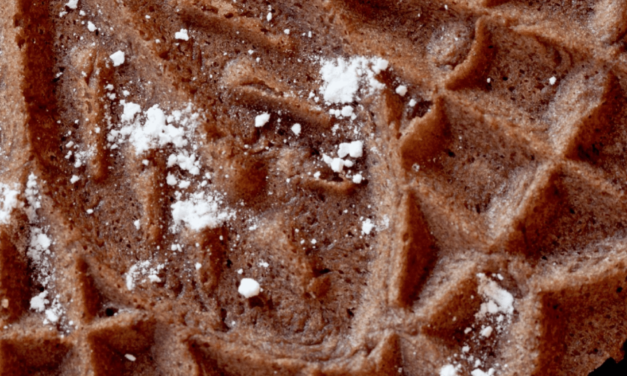The Sweetest Secret: Decadent Chocolate Pizzelle Recipe