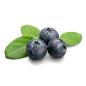 Blueberries