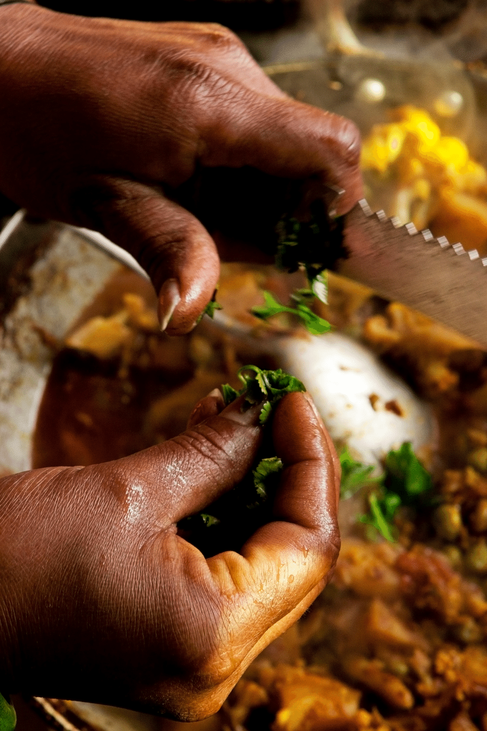 hands dicing a vegetable into a pot for cooking