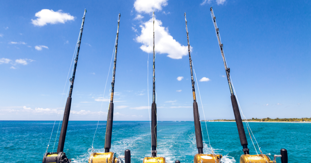 Fishing Poles